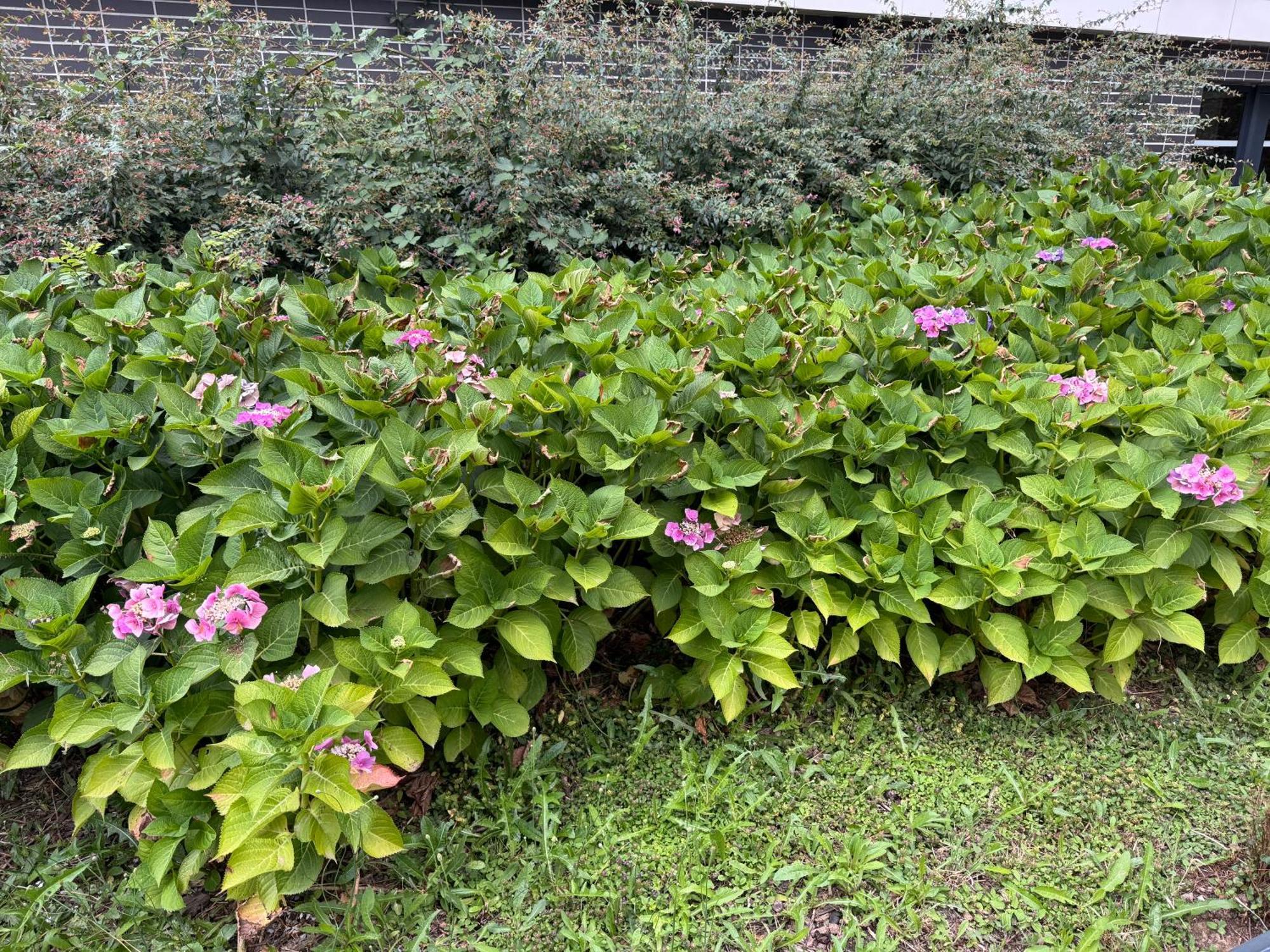 Jardins De La Noue Apartment Villeneuve-la-Garenne Luaran gambar